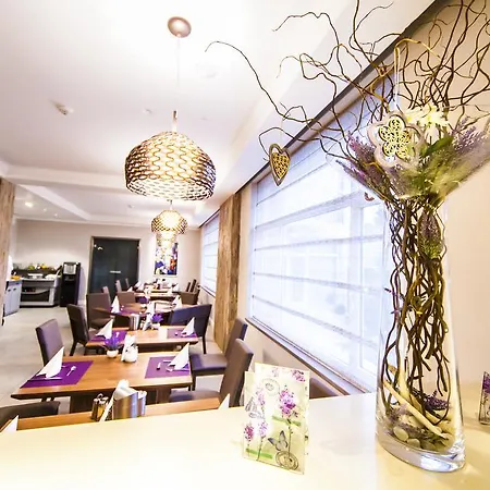 Hotel Confort 3*