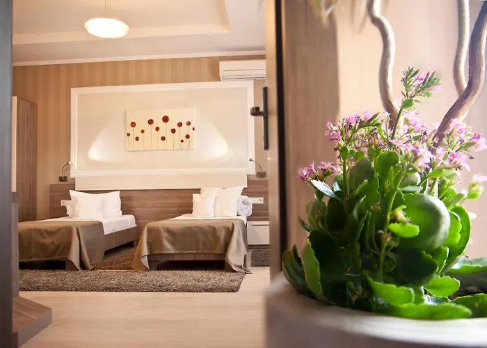 Confort Hotel Cluj-Napoca